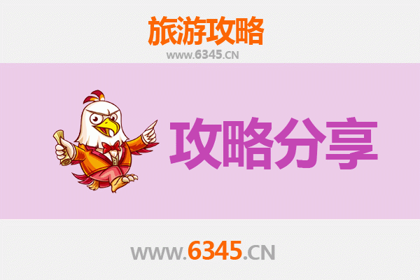 新余分宜至湄洲岛旅游攻略：跟团 vs 自由行深度解析